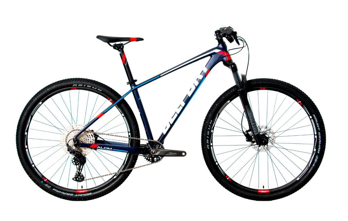 Bicicleta BELFORT ALOM JUDY r29