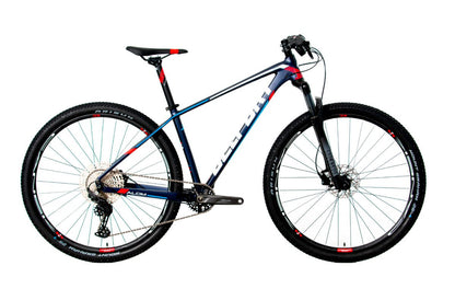 Bicicleta BELFORT ALOM JUDY r29