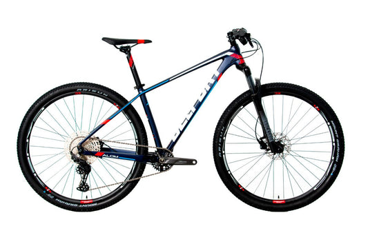 Bicicleta BELFORT ALOM JUDY r29