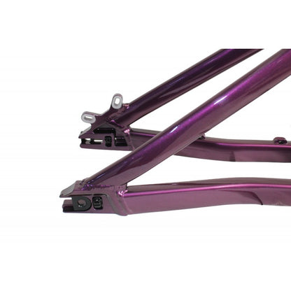 Cuadro vg Xicnal R26 Dirt / stunt  morado