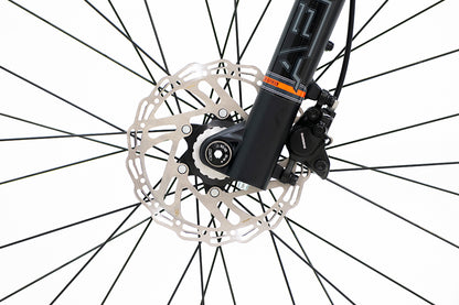 Bici BELFORT ALOM AERIAL R29