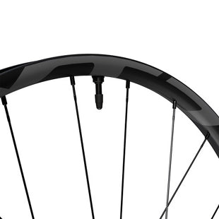 Juego de rines Shimano XTR r-29 24h 12x148mm / 15x110mm carbono