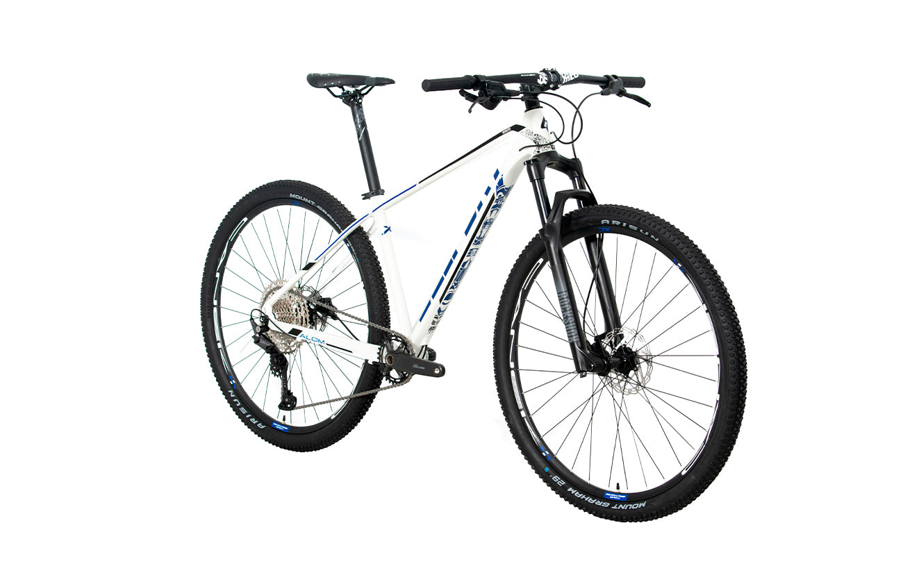 Bicicleta BELFORT ALOM JUDY r29