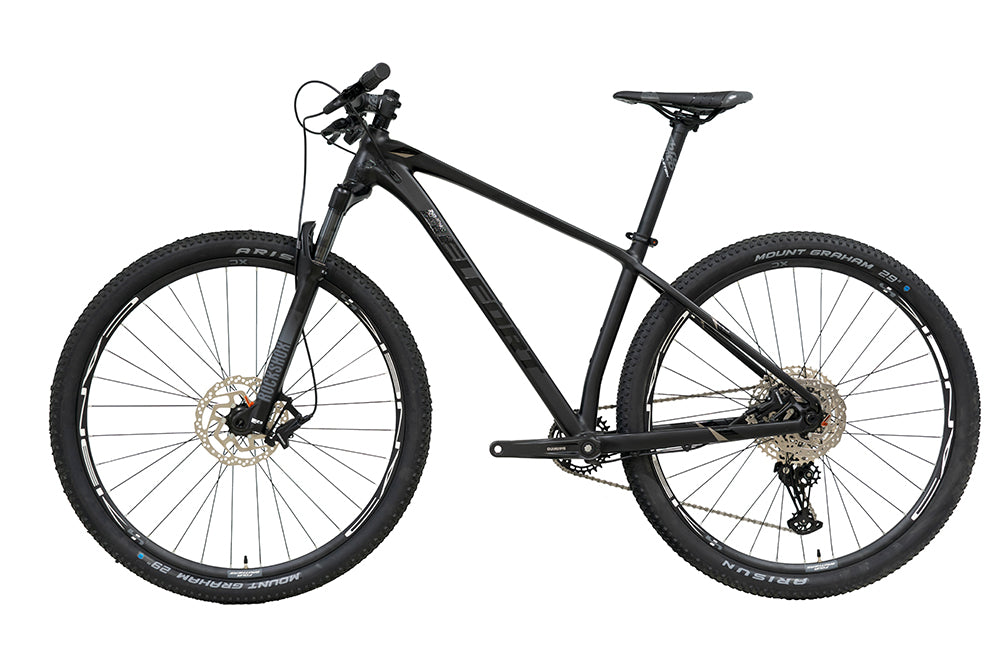 Bicicleta BELFORT ZAMNA comp B1 R29