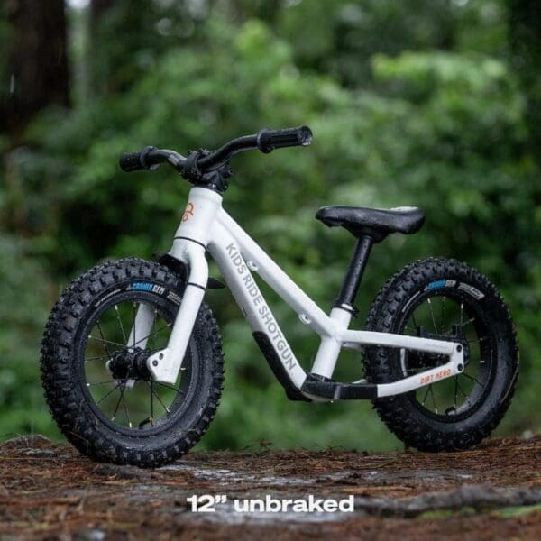 Bicicleta Shotgun Dirt Hero Balance R-12 con freno Magura