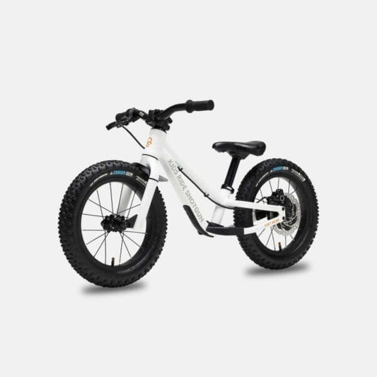 Bicicleta Shotgun Dirt Hero Balance R-12 con freno Magura